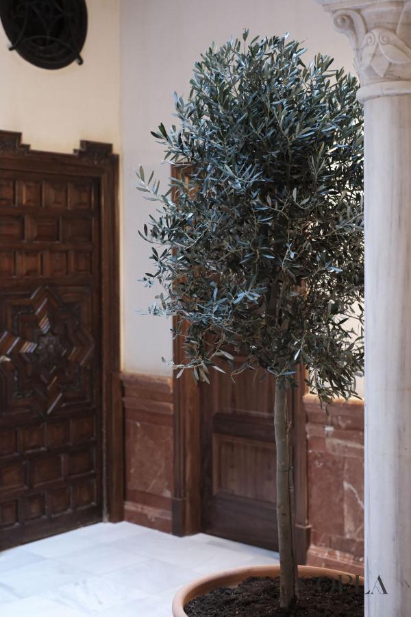 Apartamento Elegante Apartamento Para 4 Pax Cerca De La Plaza De Espana