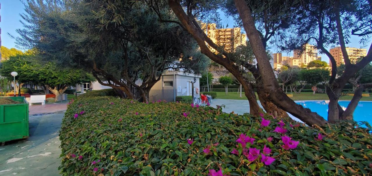 Apartamento Cala Sol 11a Finestrat