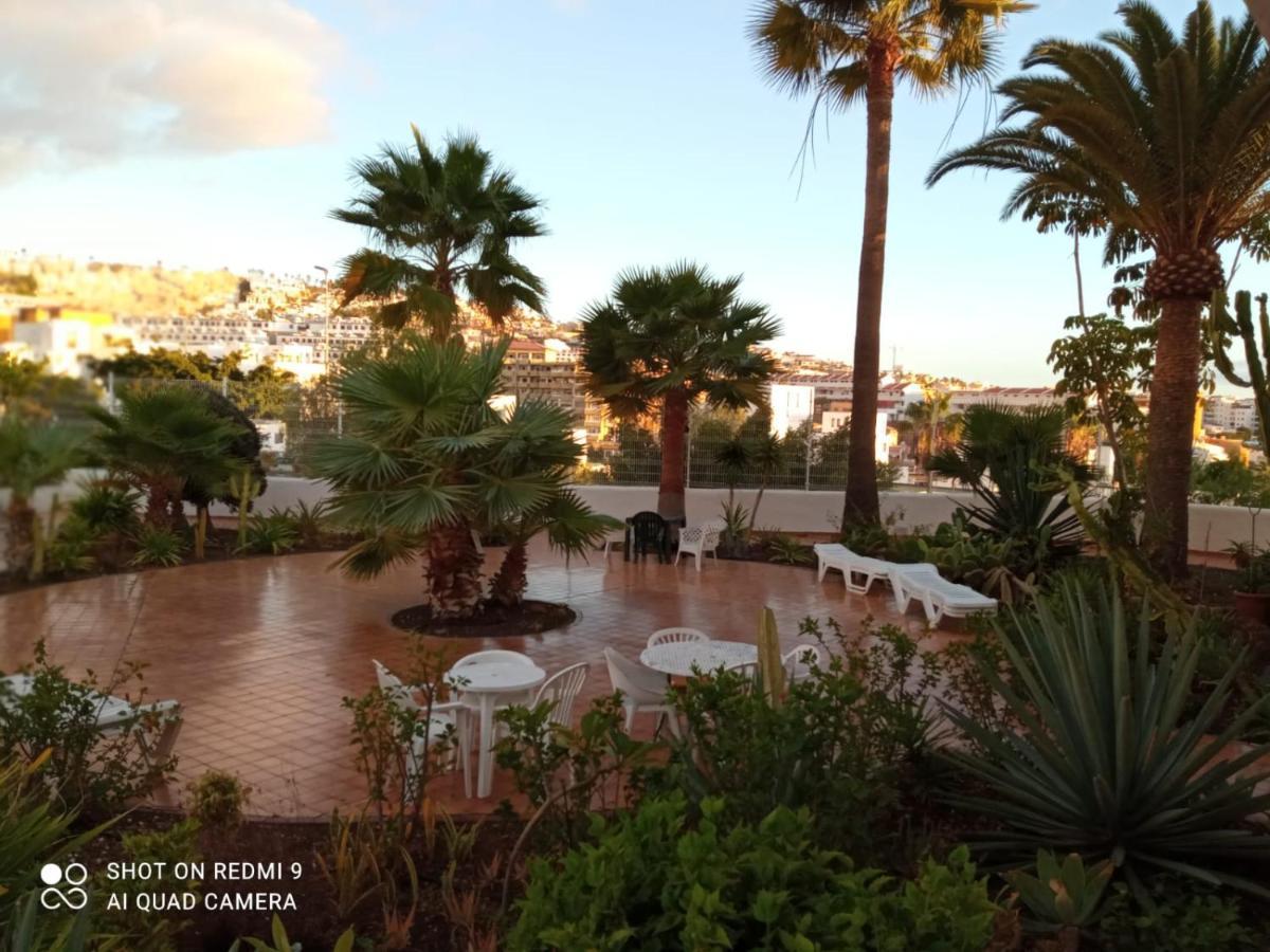 Apartment Centric In Playa Fanabe By Altamarhomes