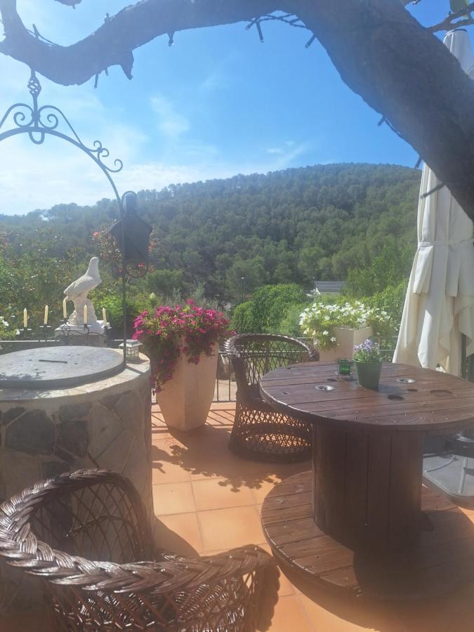 Bed & Breakfast Au Jardin D'armand *