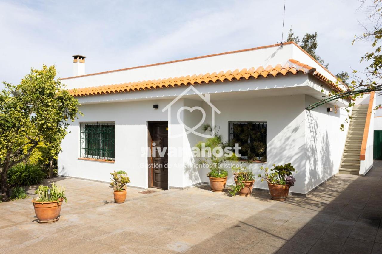 Tegas: Tacoronte, By Nivariahost Holiday home *