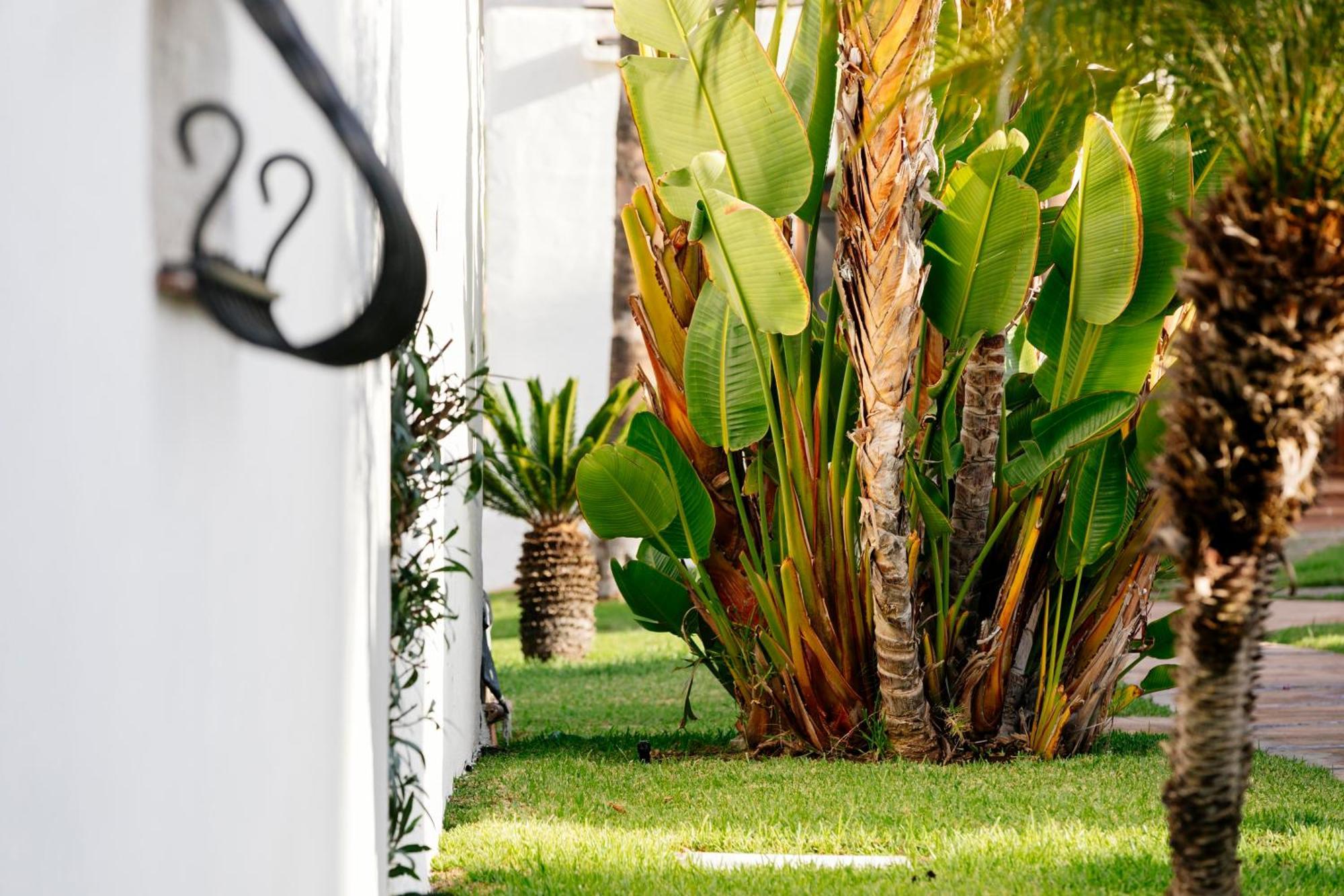 Hd Parque Cristobal Tenerife Resort Playa de las Américas