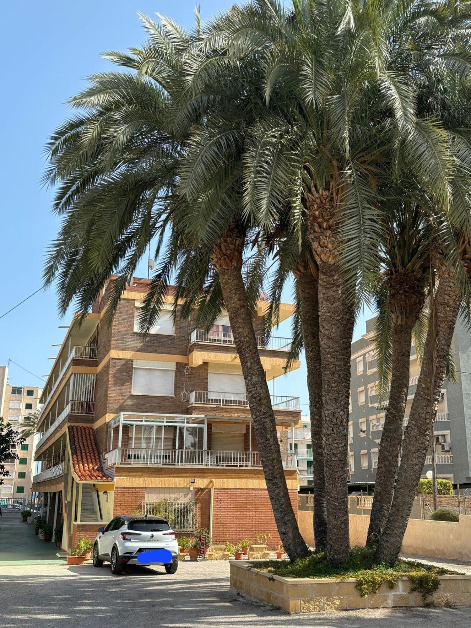 Congo El Campello