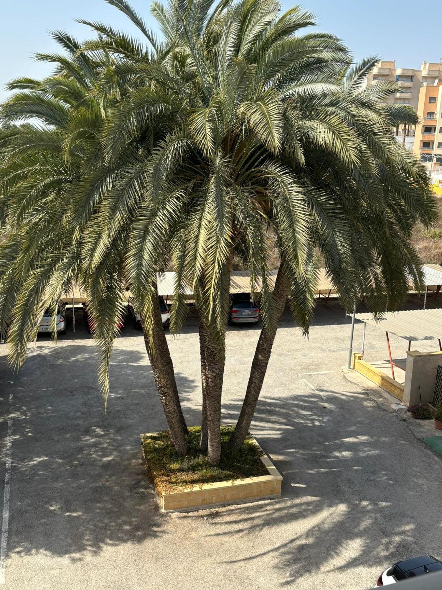 Congo Apartment