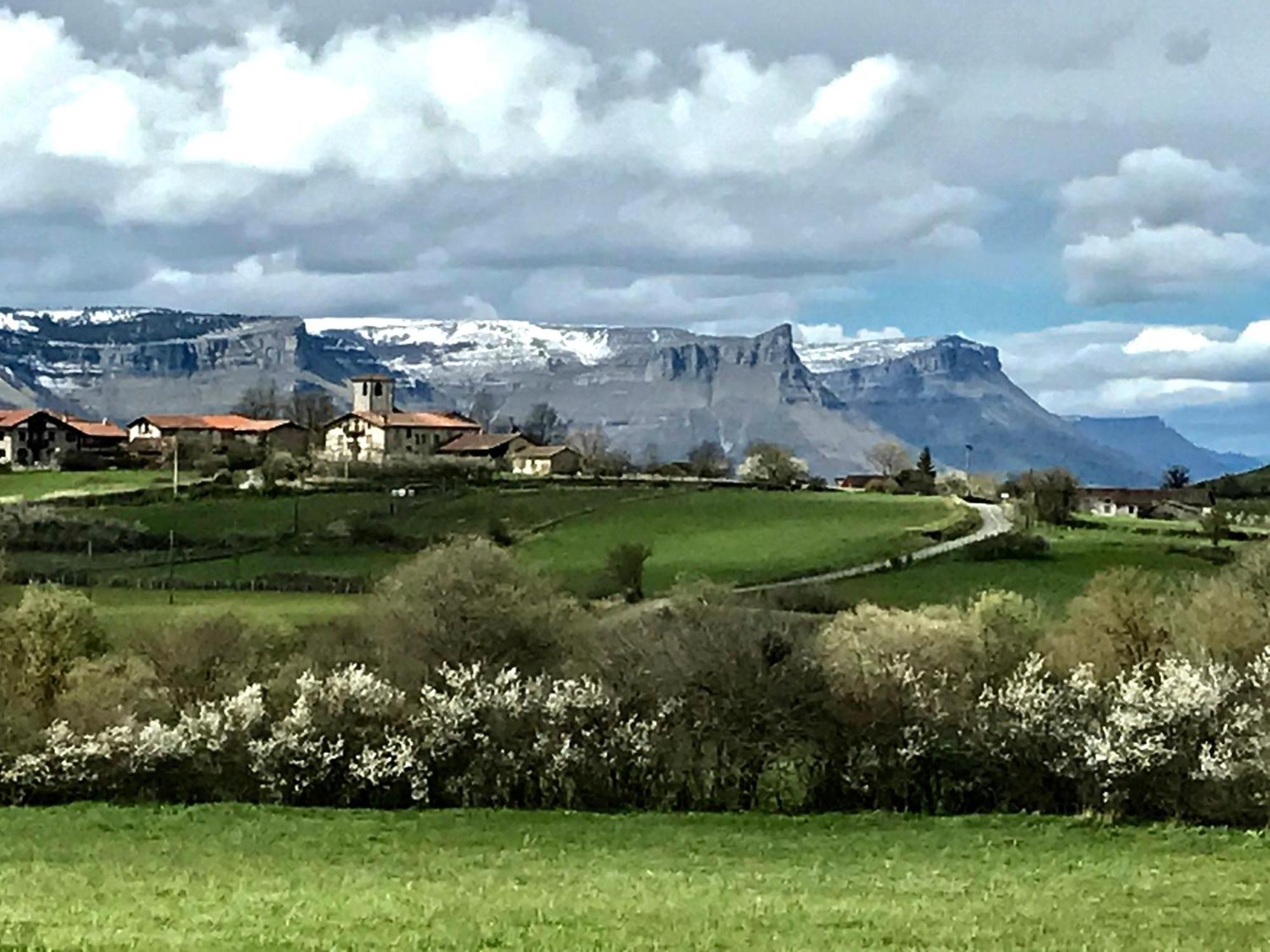 Ulle Gorri Apartment