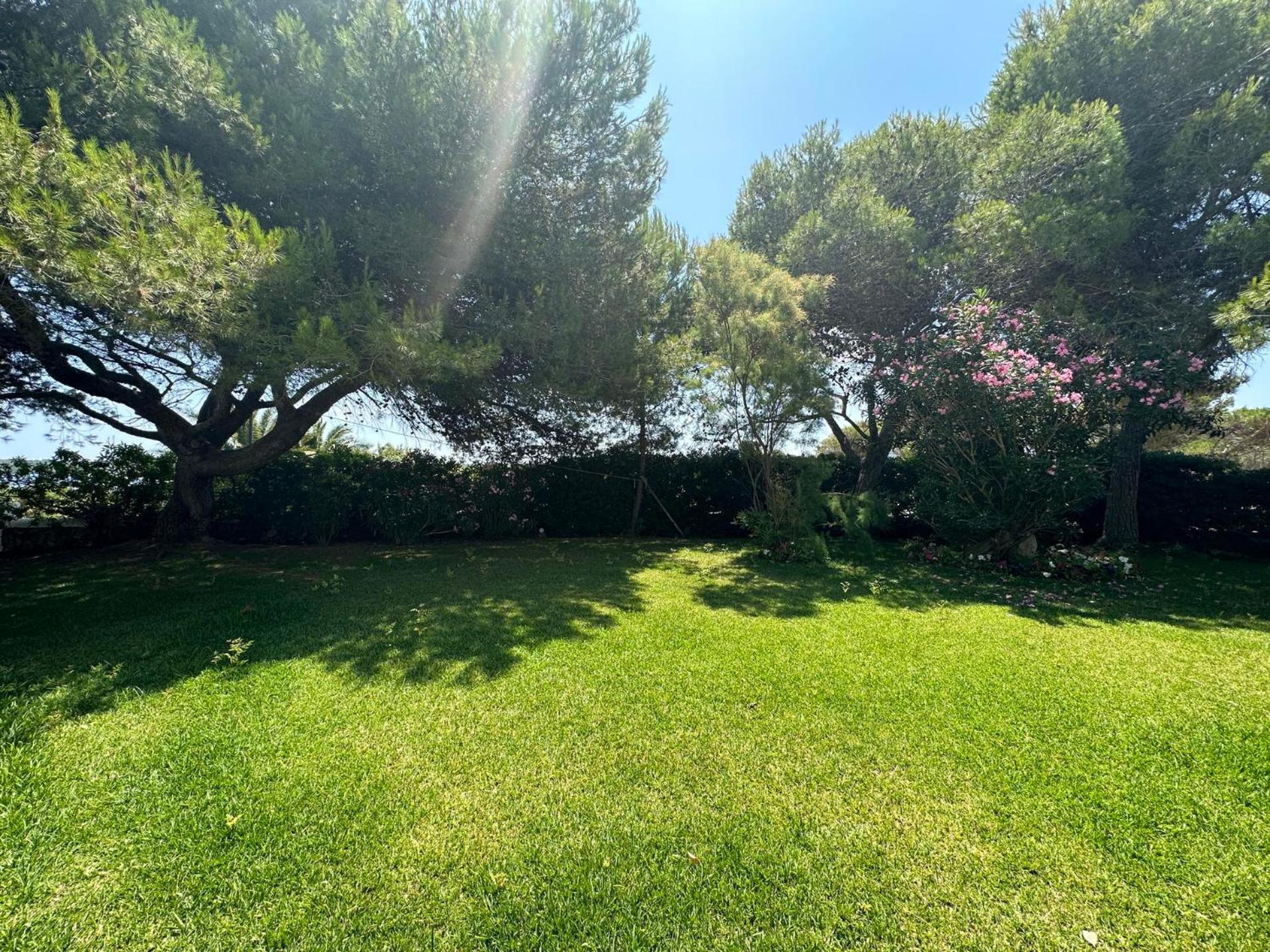 Albatros * Fornells (Menorca)