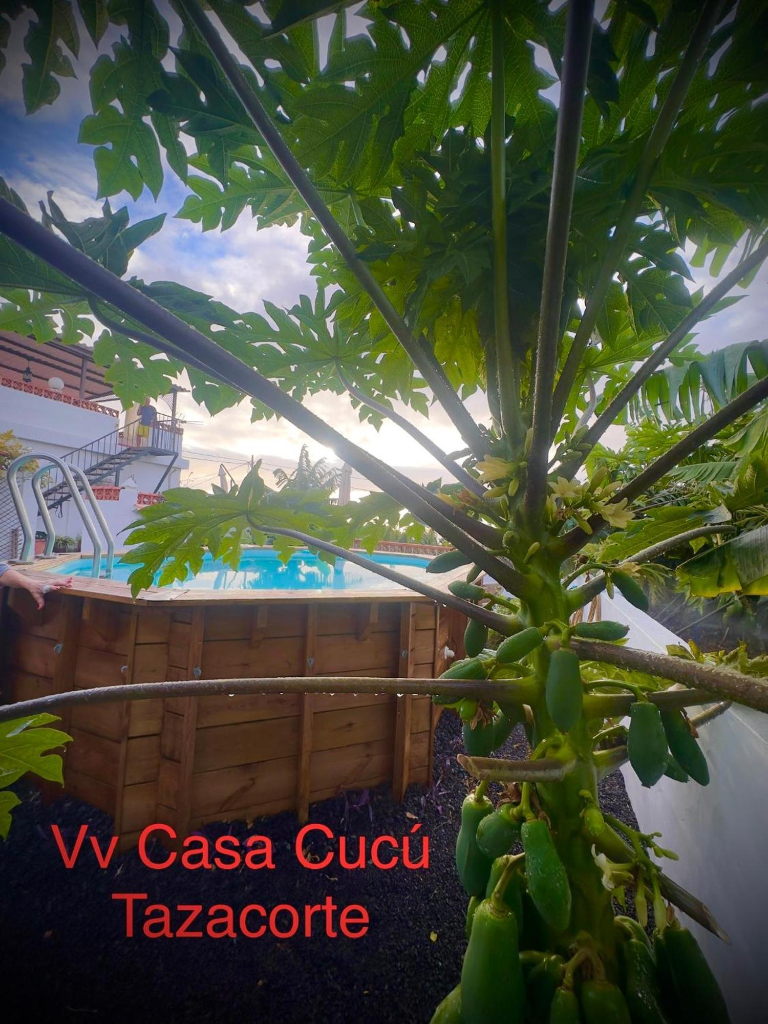 Holiday home Casa Cucu *