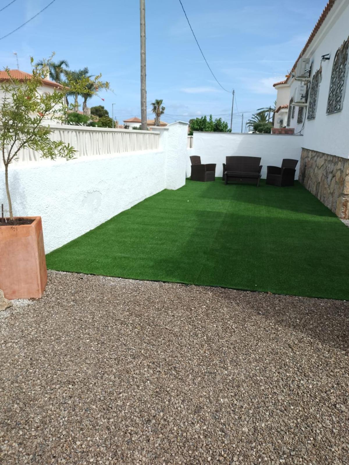 Palmera Iv