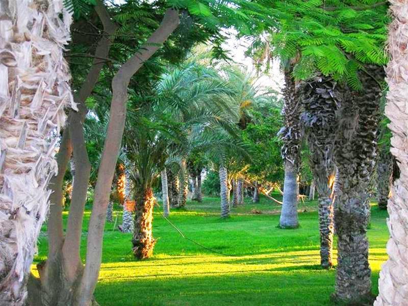Résidence Pierre&vacances Marazul Del Sur Apartahotel 3*