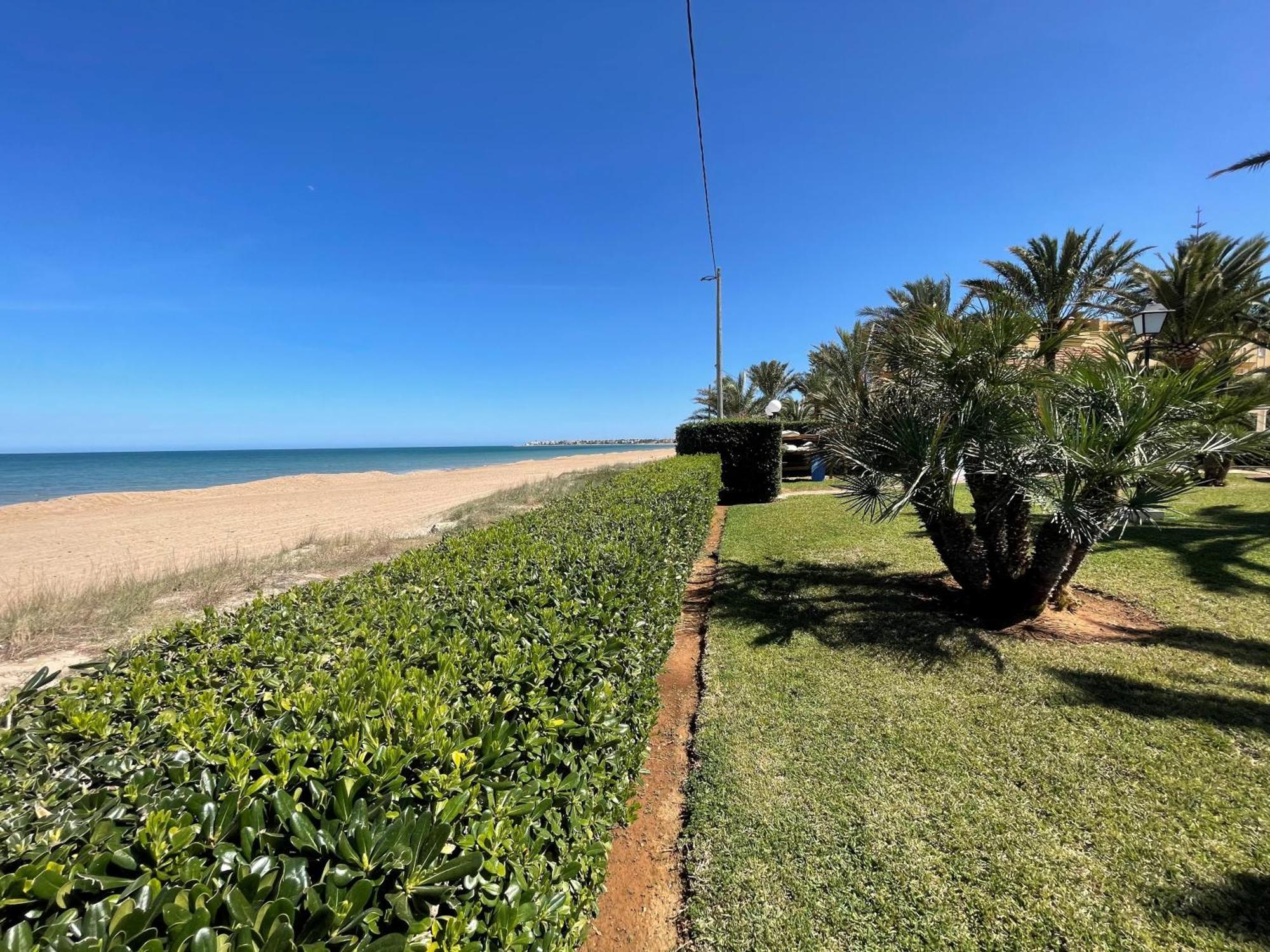 Blau-serviden Denia
