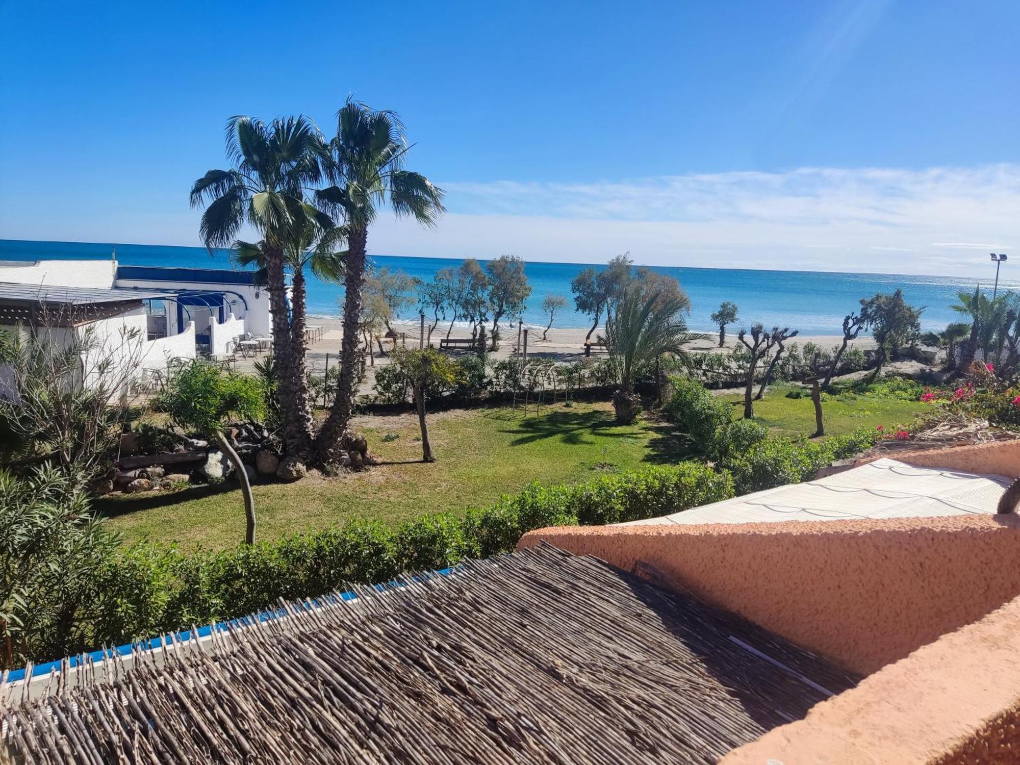 Apartamento Estudio Naturista 1
