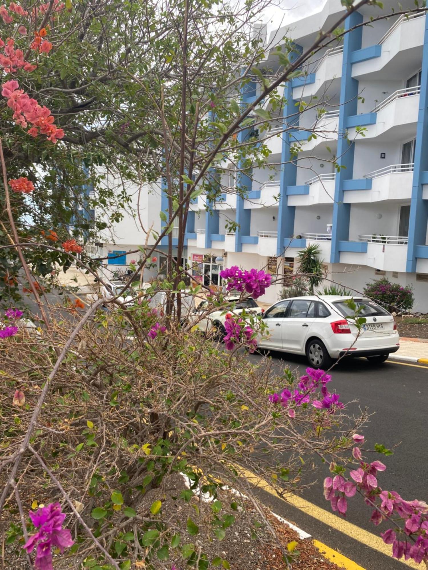 Sissy Tenerife Apartamento *