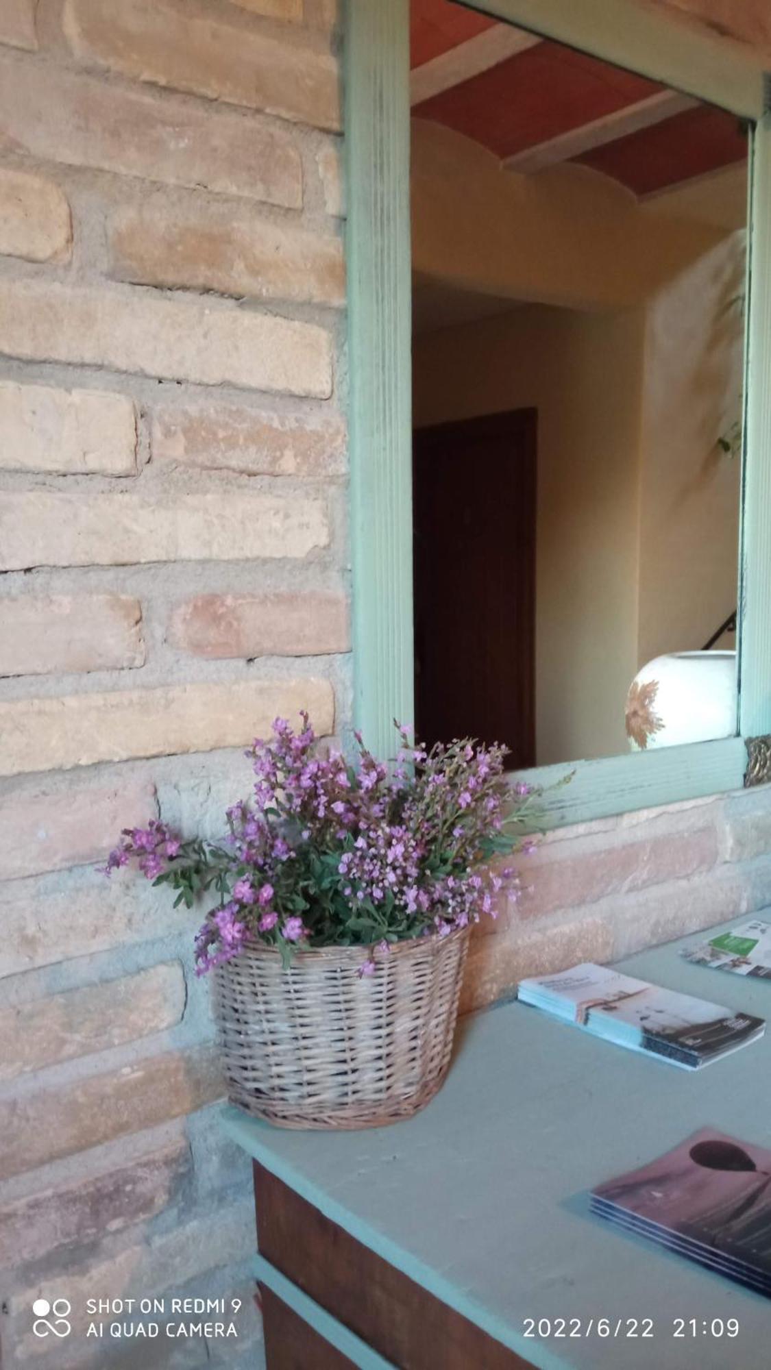 Mas Del Tancat Guest house