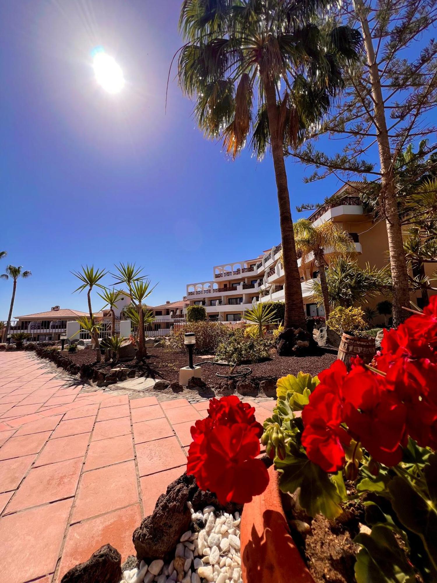 Apartment Hermoso Estudio Parque Albatros San Miguel de Abona