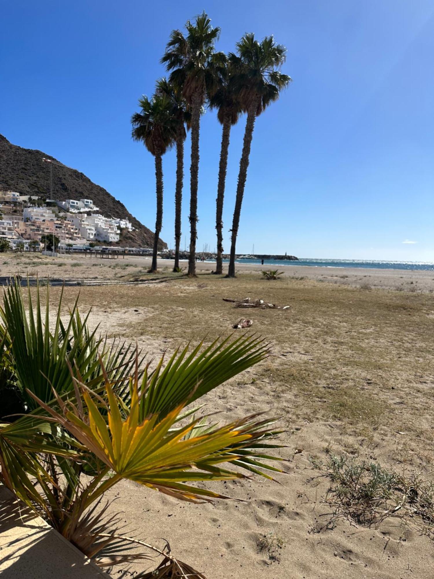 Tu Casita En Con Acceso Directo A Playa Apartamento *