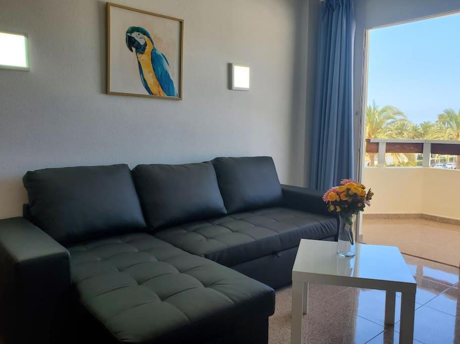 Apartamento Camelias Q17 Maspalomas (Gran Canaria)