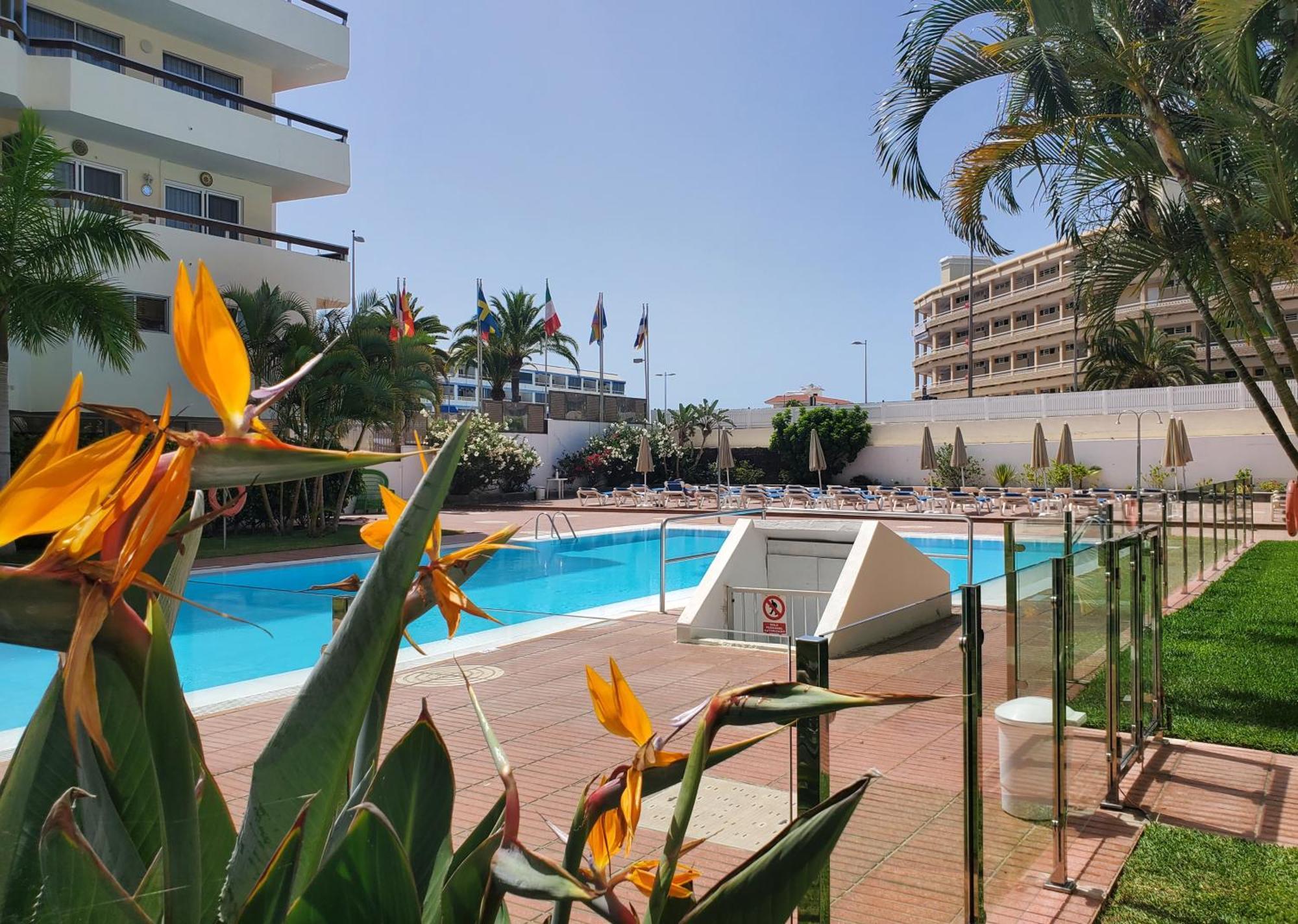 Camelias Ci17 * Playa del Ingles (Gran Canaria)