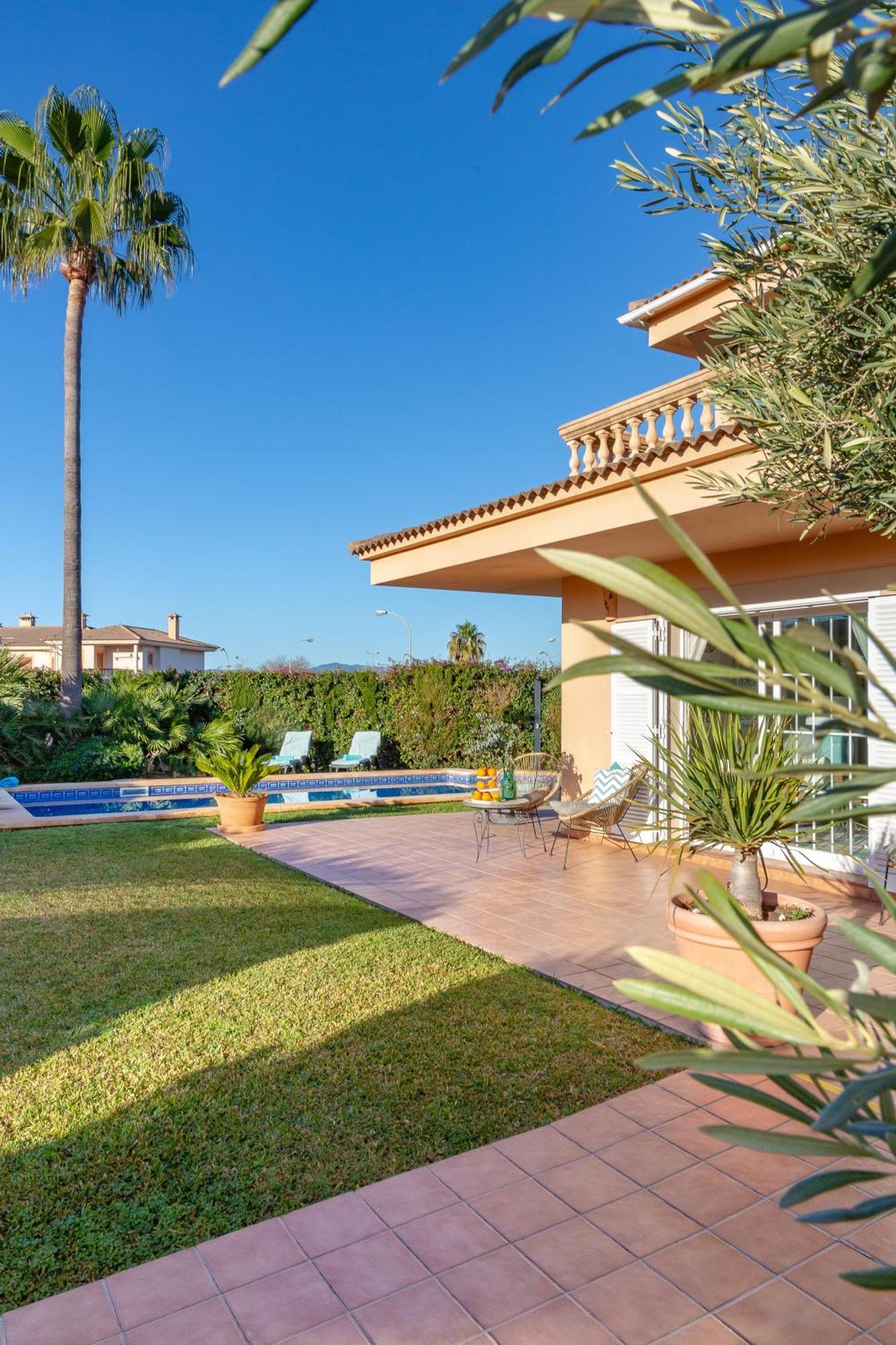 Palmera * Palma de Mallorca