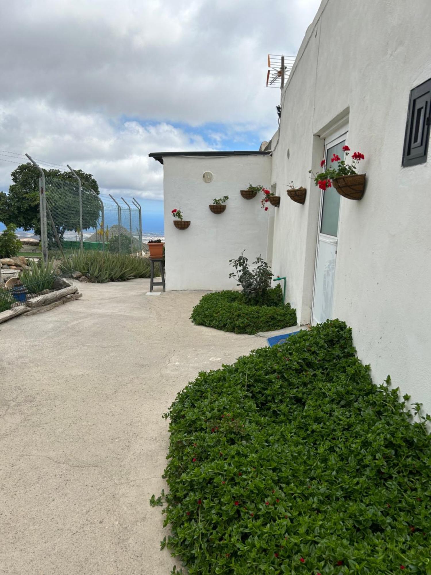 El Pasil * Arona (Tenerife)