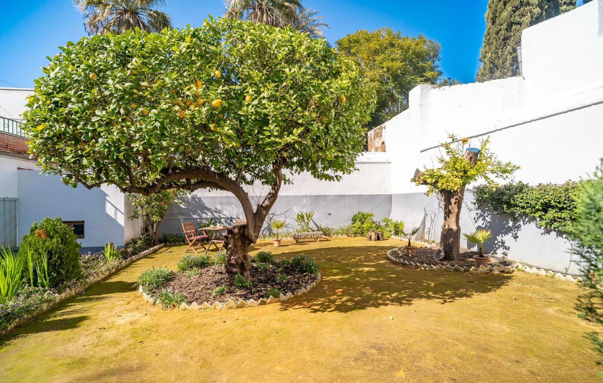 La Casa Del Limonero Penaflor