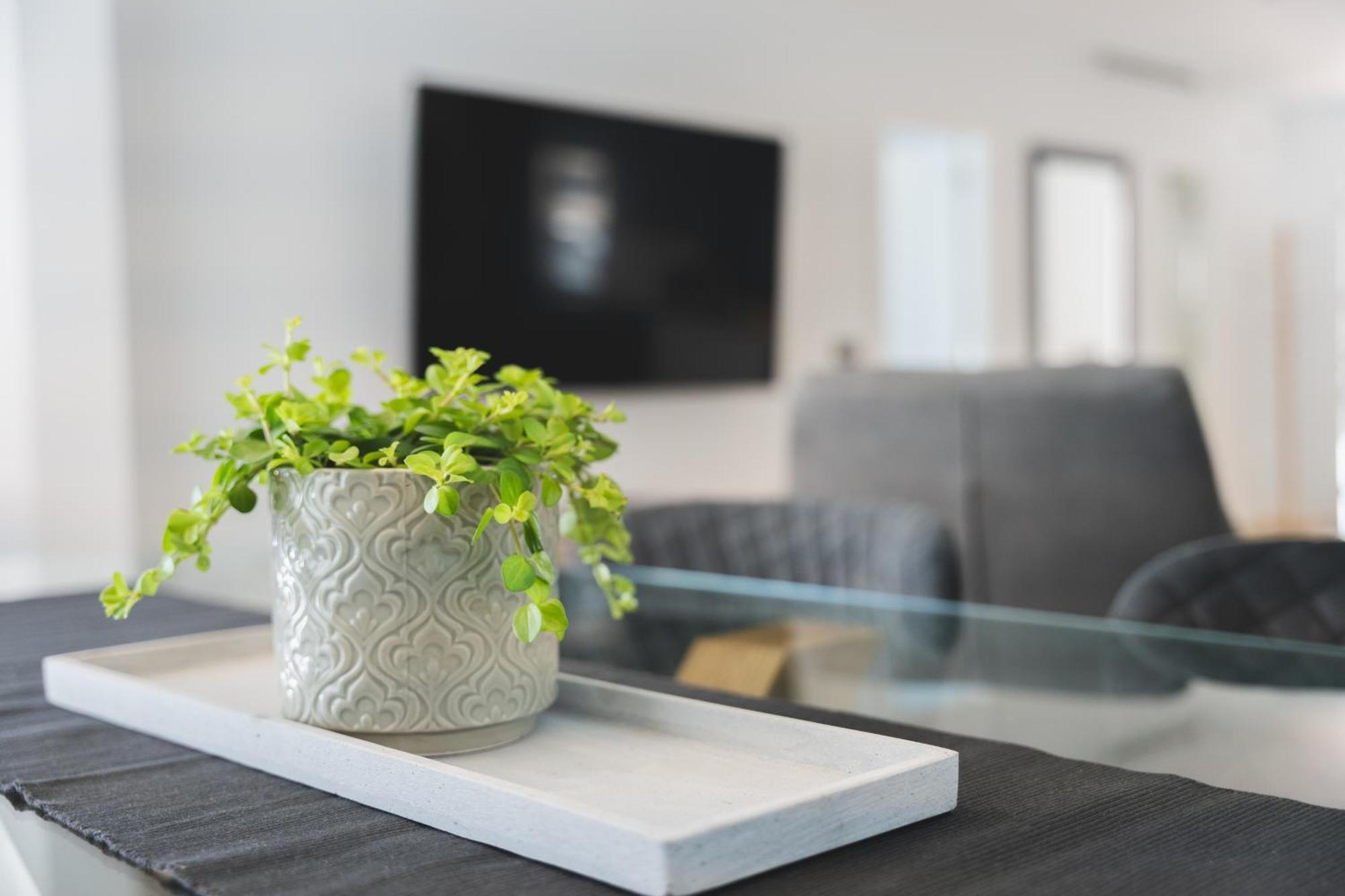 Designer Loft With Pool, With Gigantic Terrace And Private Parking & In The Centre Apartamento