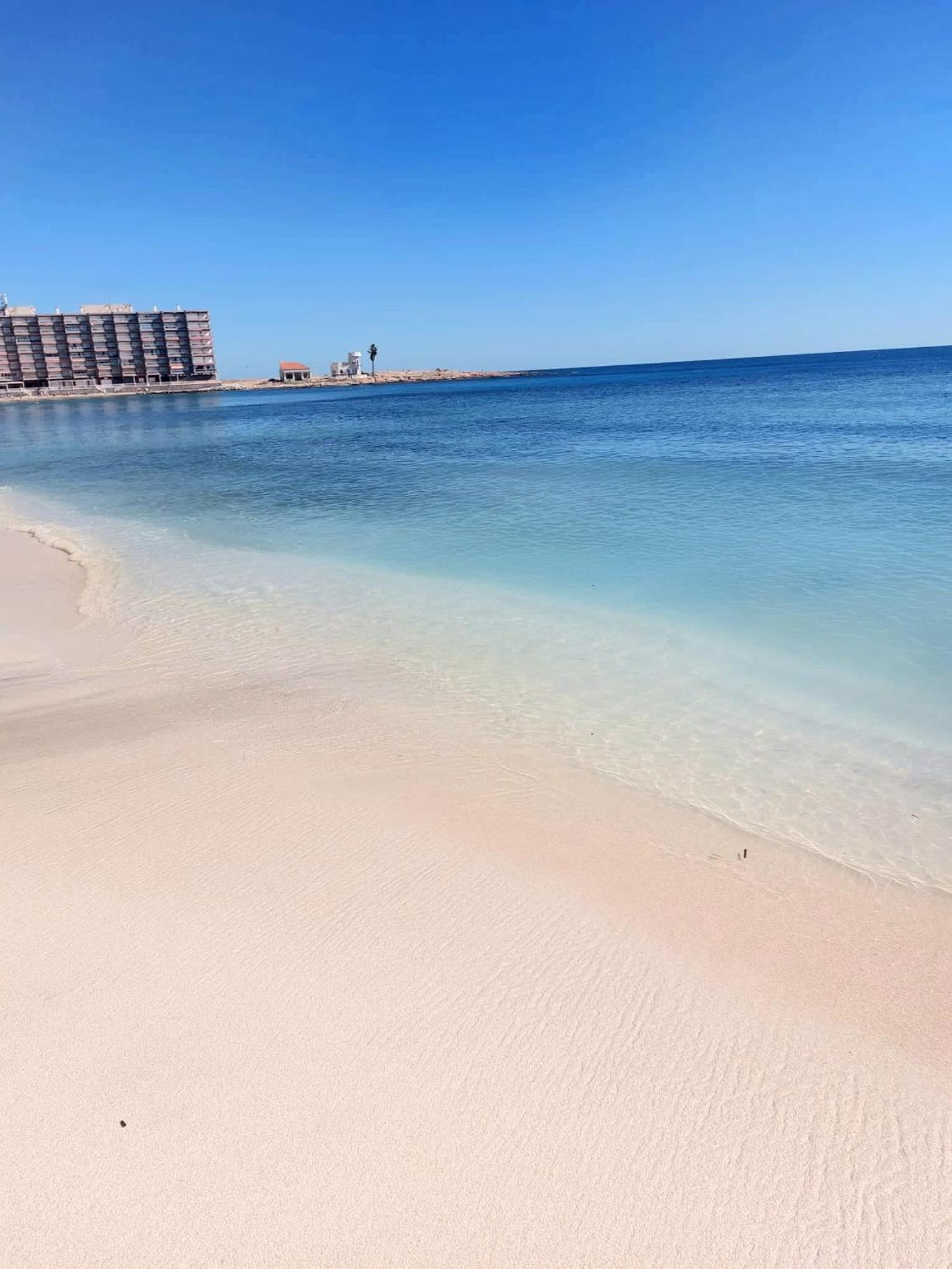Sunny In ,100 Meters From Locos * Torrevieja