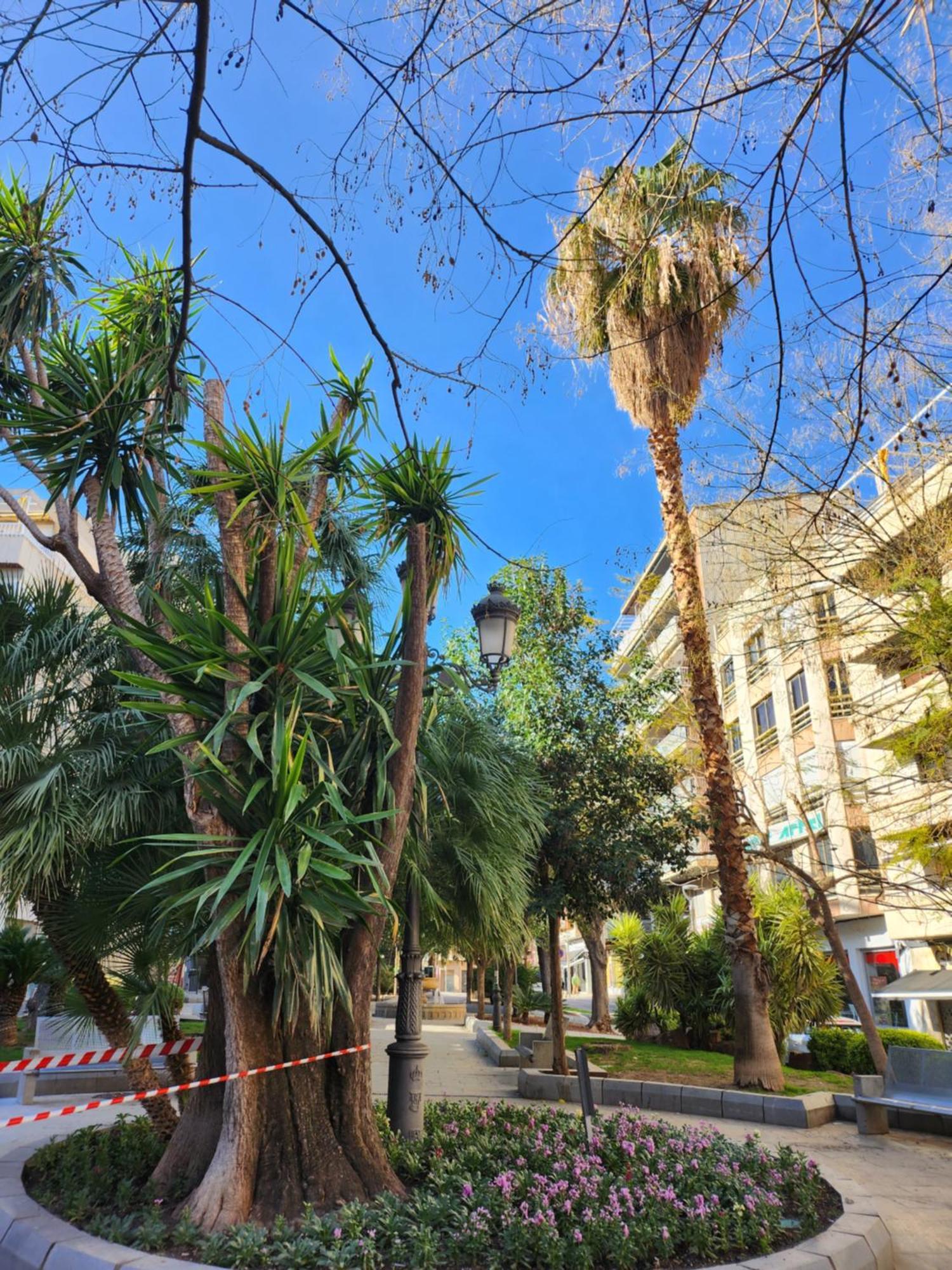 Apartment De 3 Jardinillos Centro