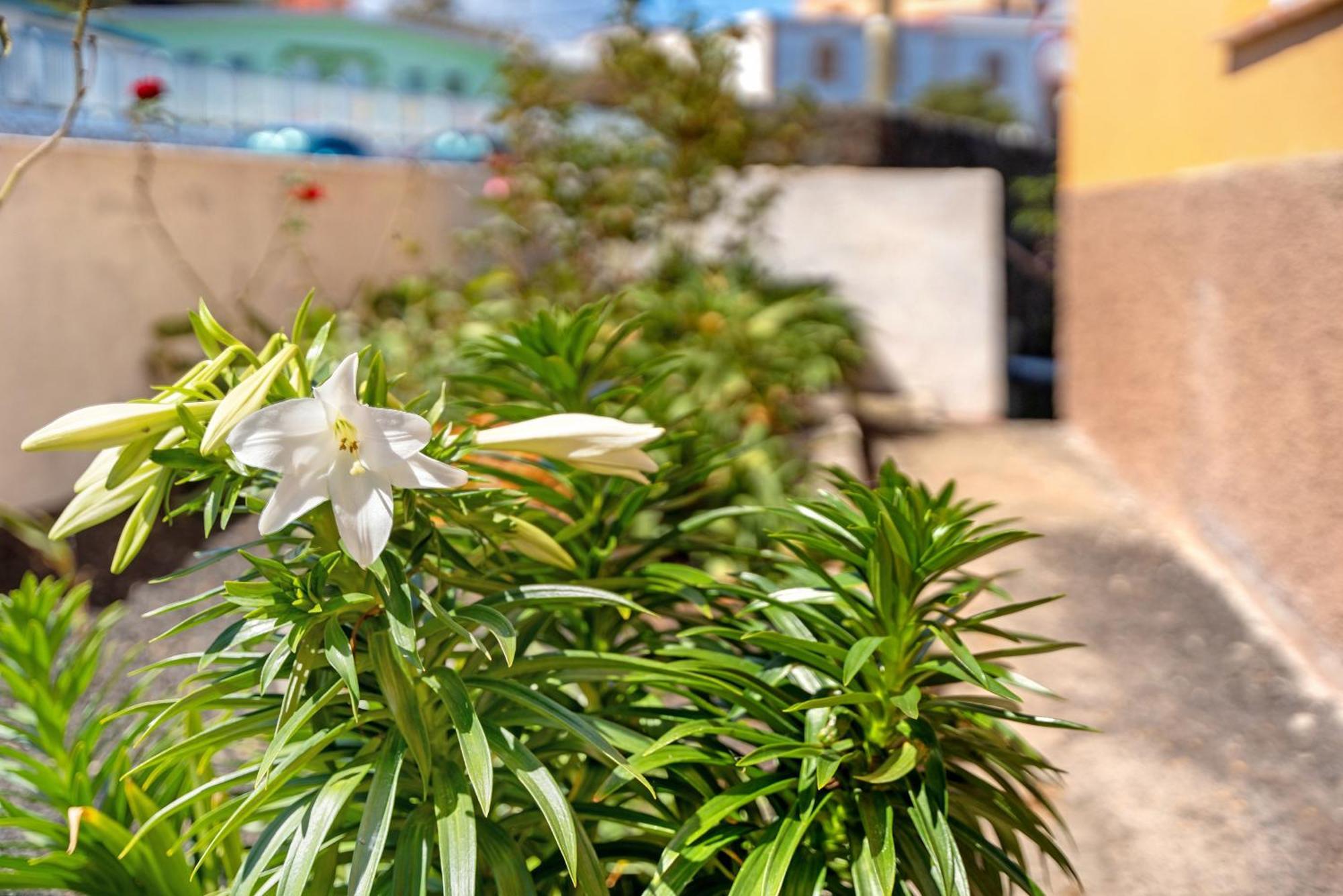 Сasa de vacaciones Casa Maruca 1 *