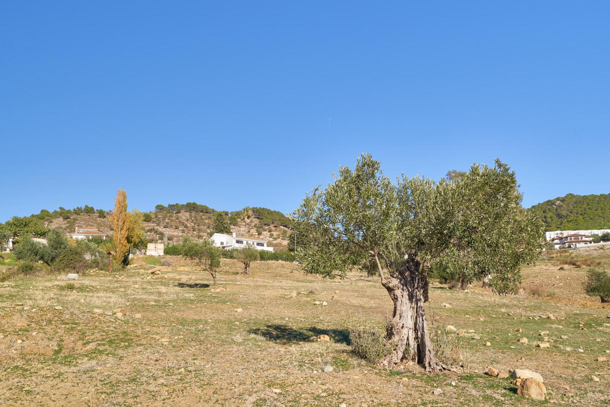 Alcaparaín Casa rural Carratraca