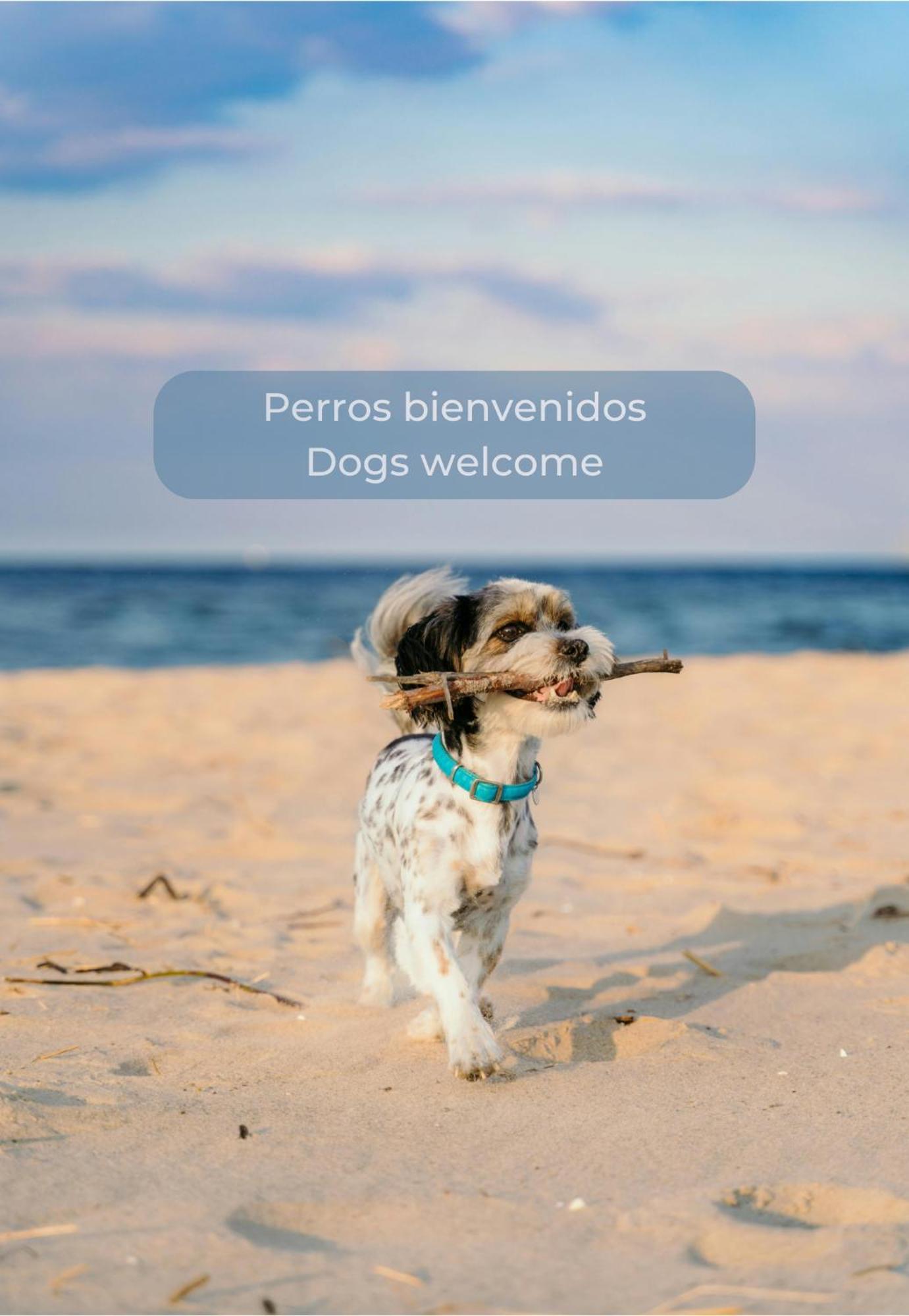 Maracuyá By Lovely Corralejo