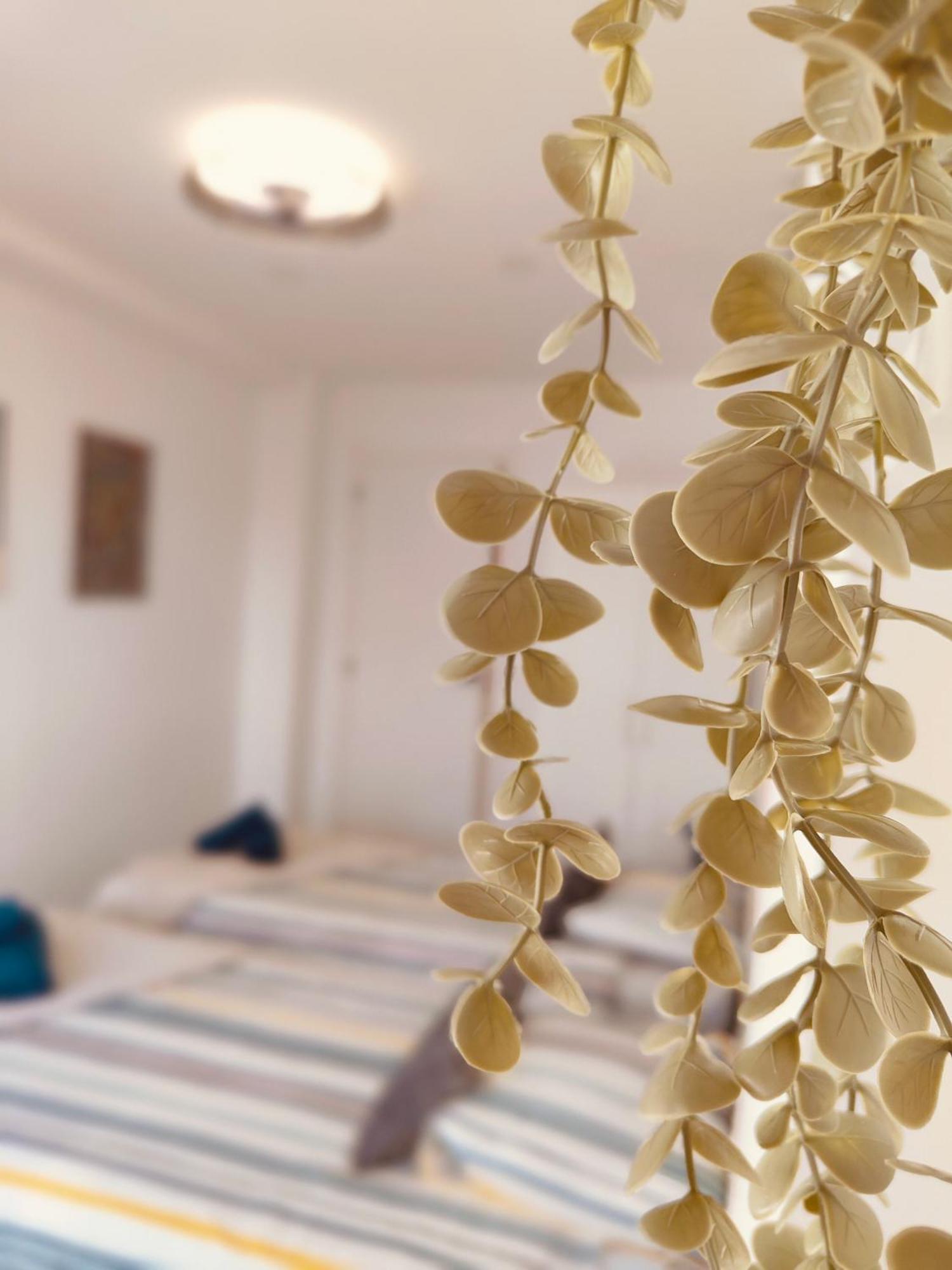 Deluxe Apartamento *