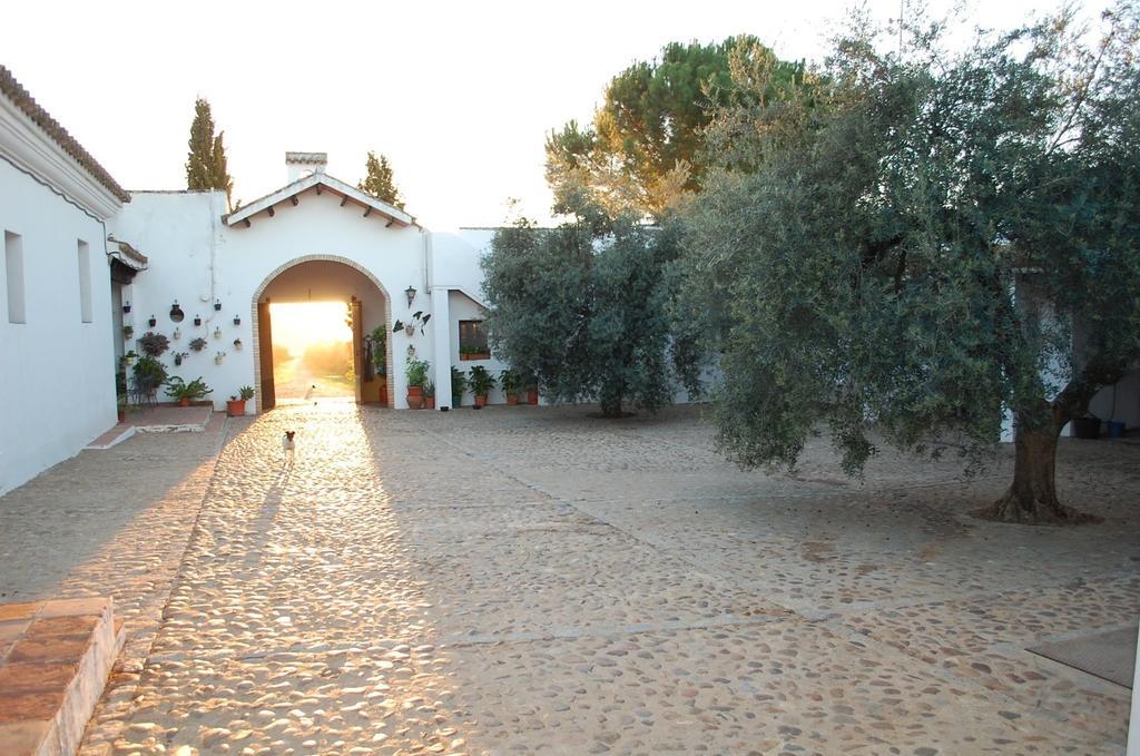 Country house Hacienda Dos Olivos *