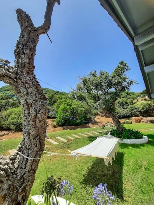 Casa Micheal - Luxury - El Cuarton, Tarifa