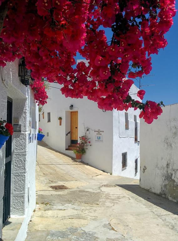 Apartamento La Atalaya De Vejer Vejer de la Frontera