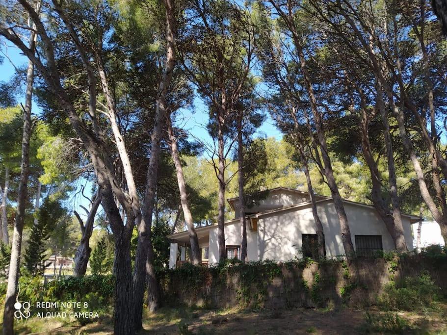 Masia Del Roc De Sant Caieta Villa *