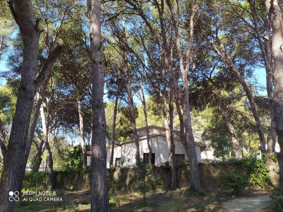 Masia Del Roc De Sant Caieta *