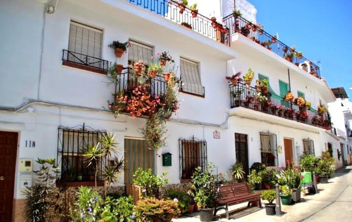 Homestay La Viajera Algarrobo