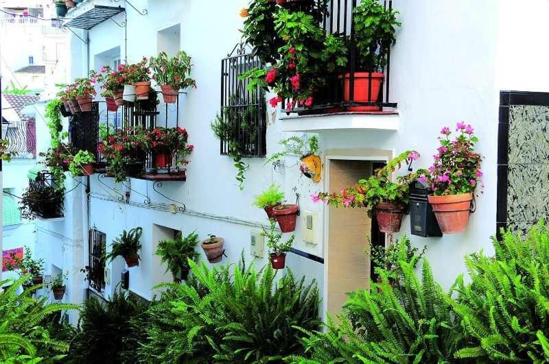 La Viajera Homestay Algarrobo