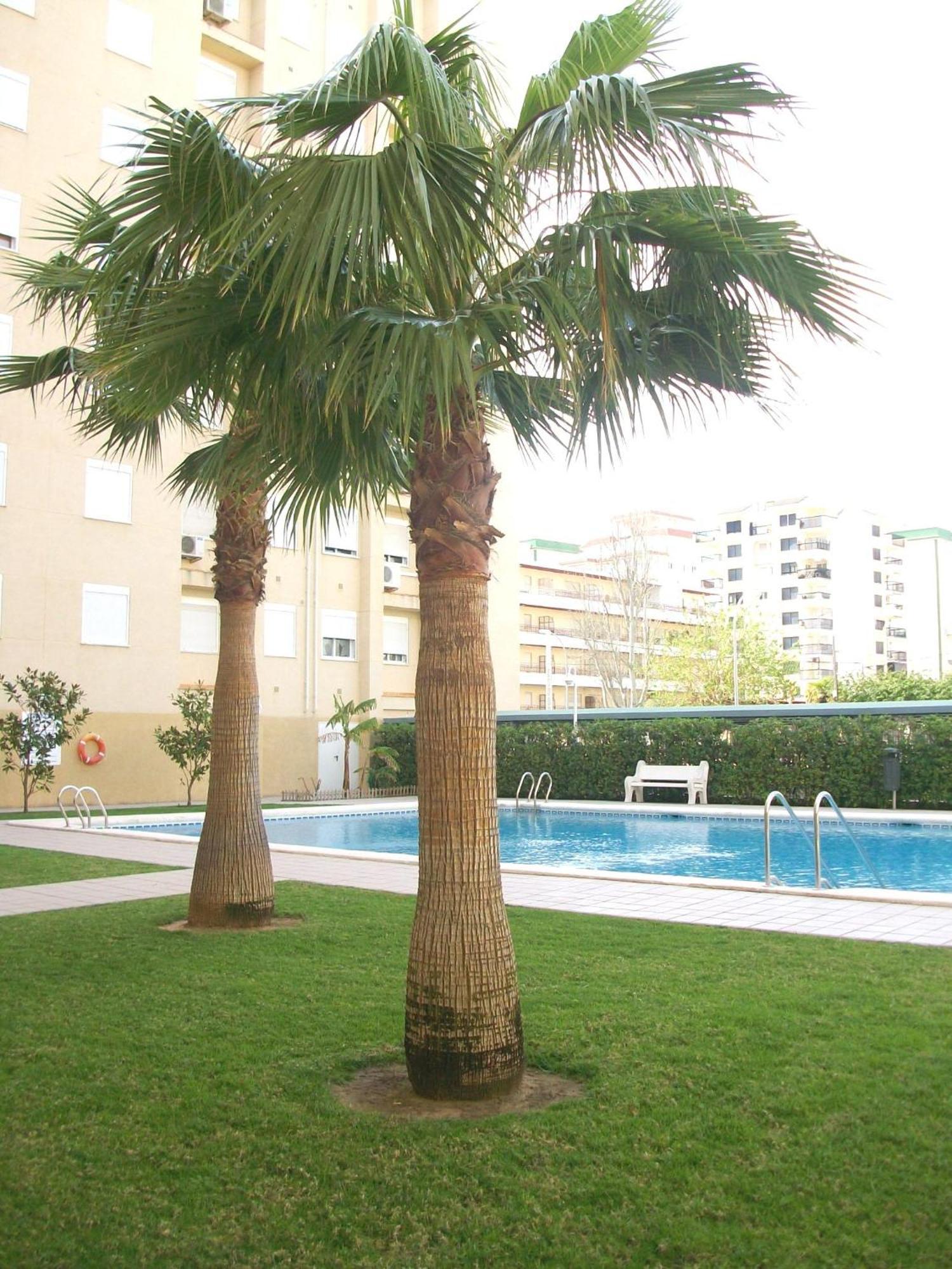 Miami - Alquiler Solo Familias Apartment *