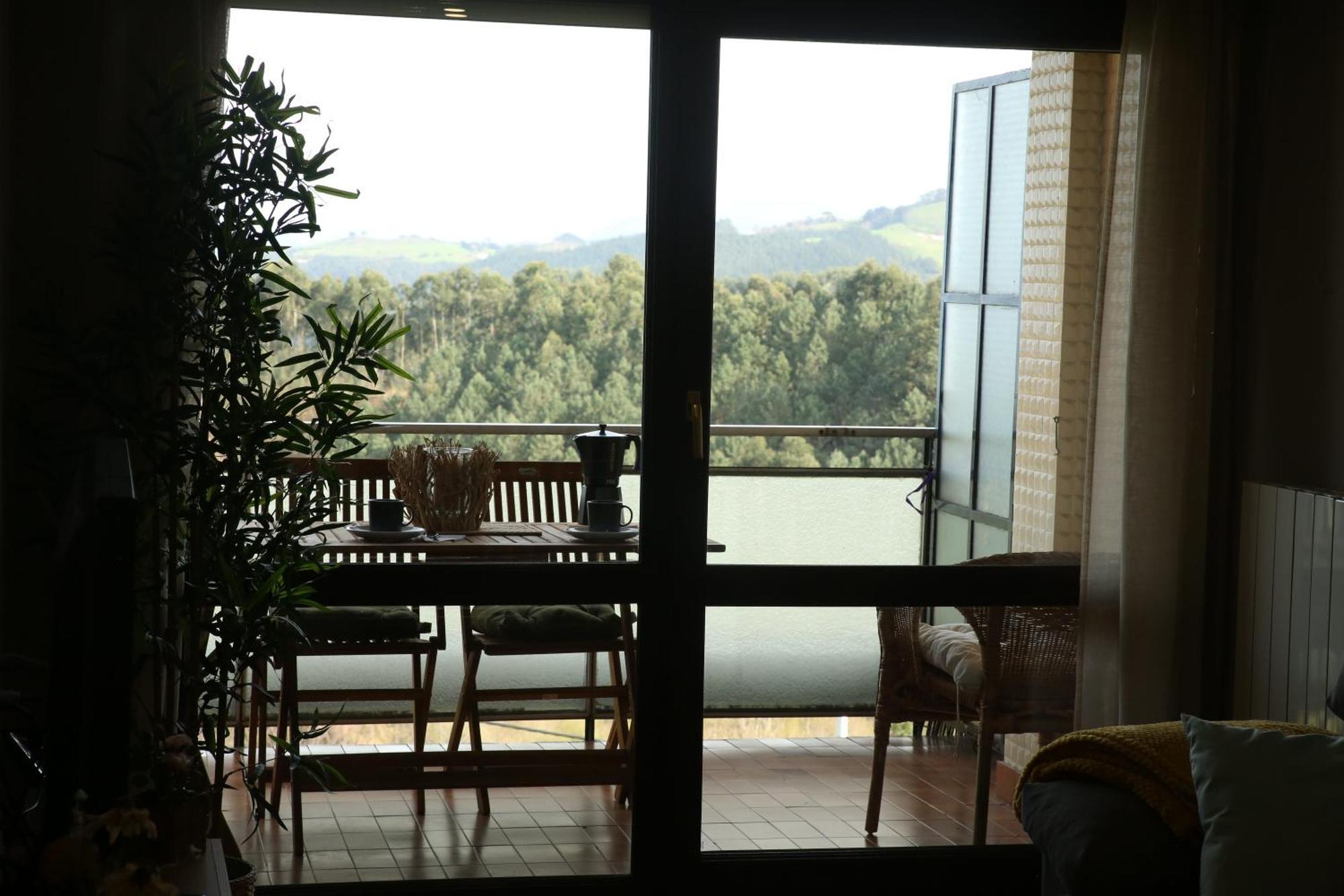 Apartment Zelaia