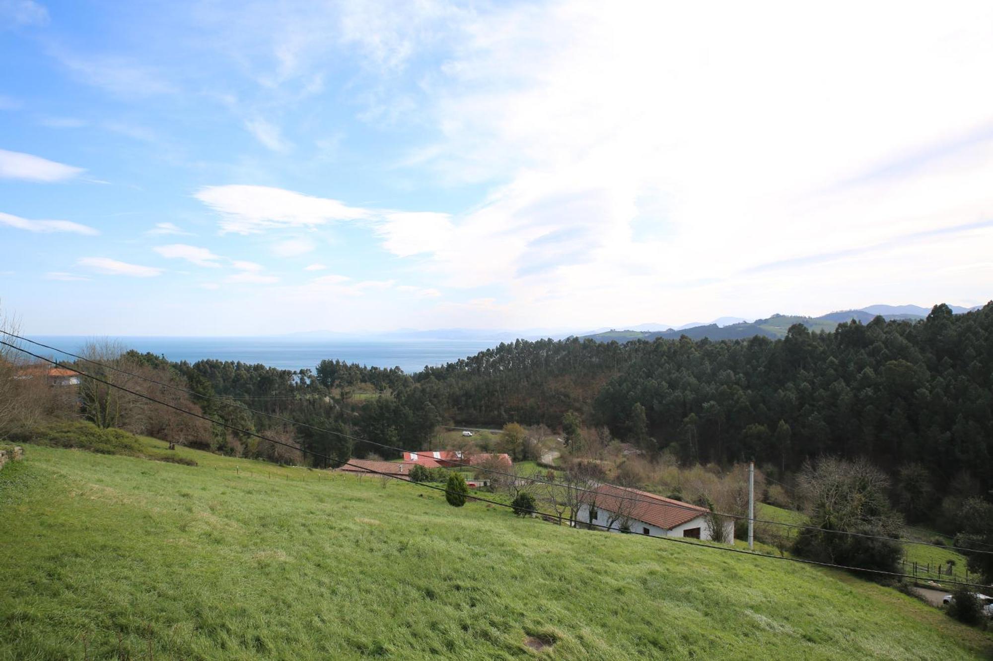 Zelaia