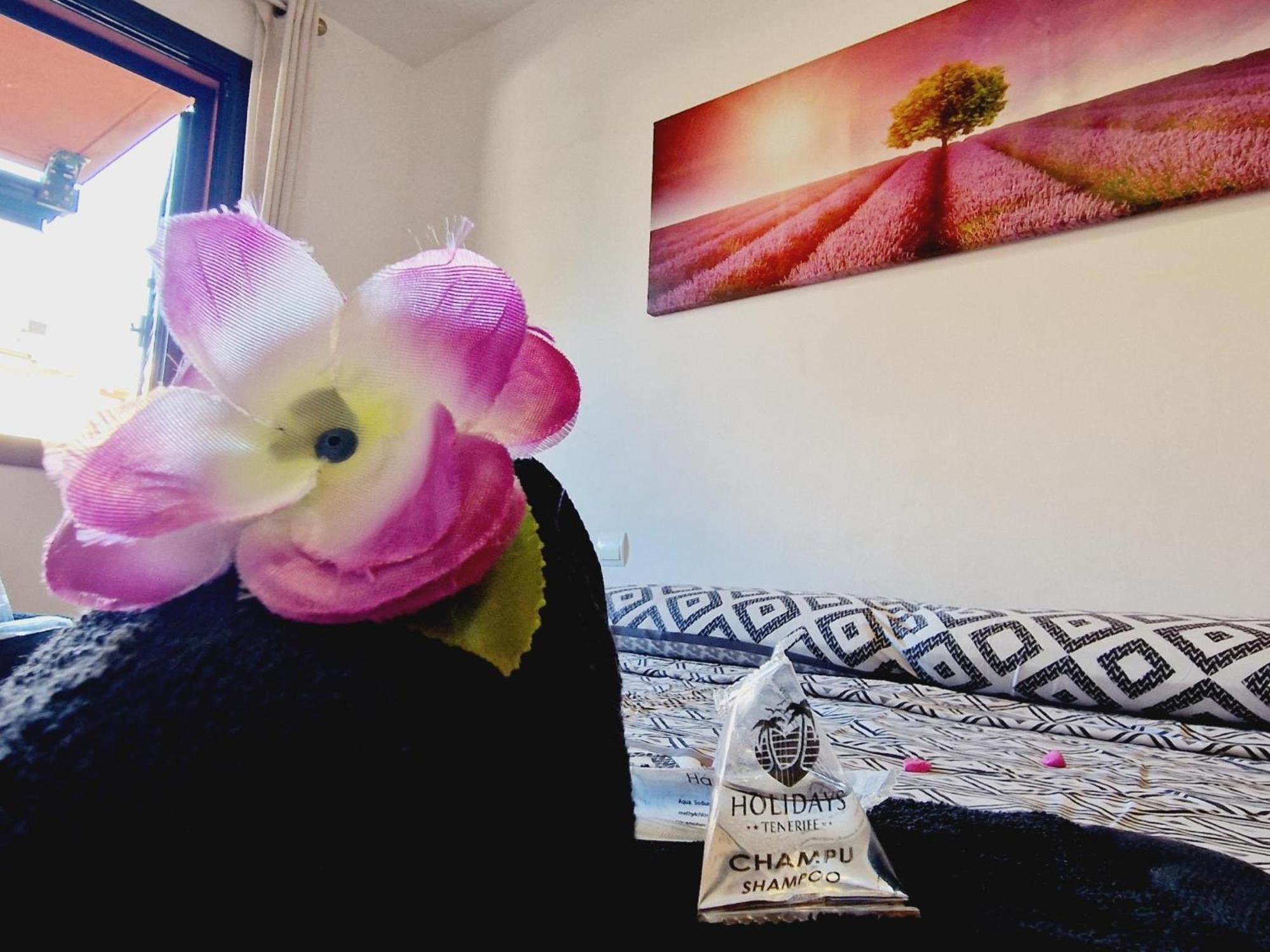Holiday home Paraiso 2 Bedroom Terrace Wifi Free