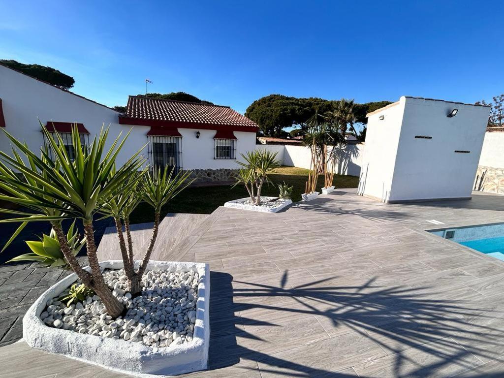 Empul Chill Out Frog Сasa de vacaciones Chiclana de la Frontera