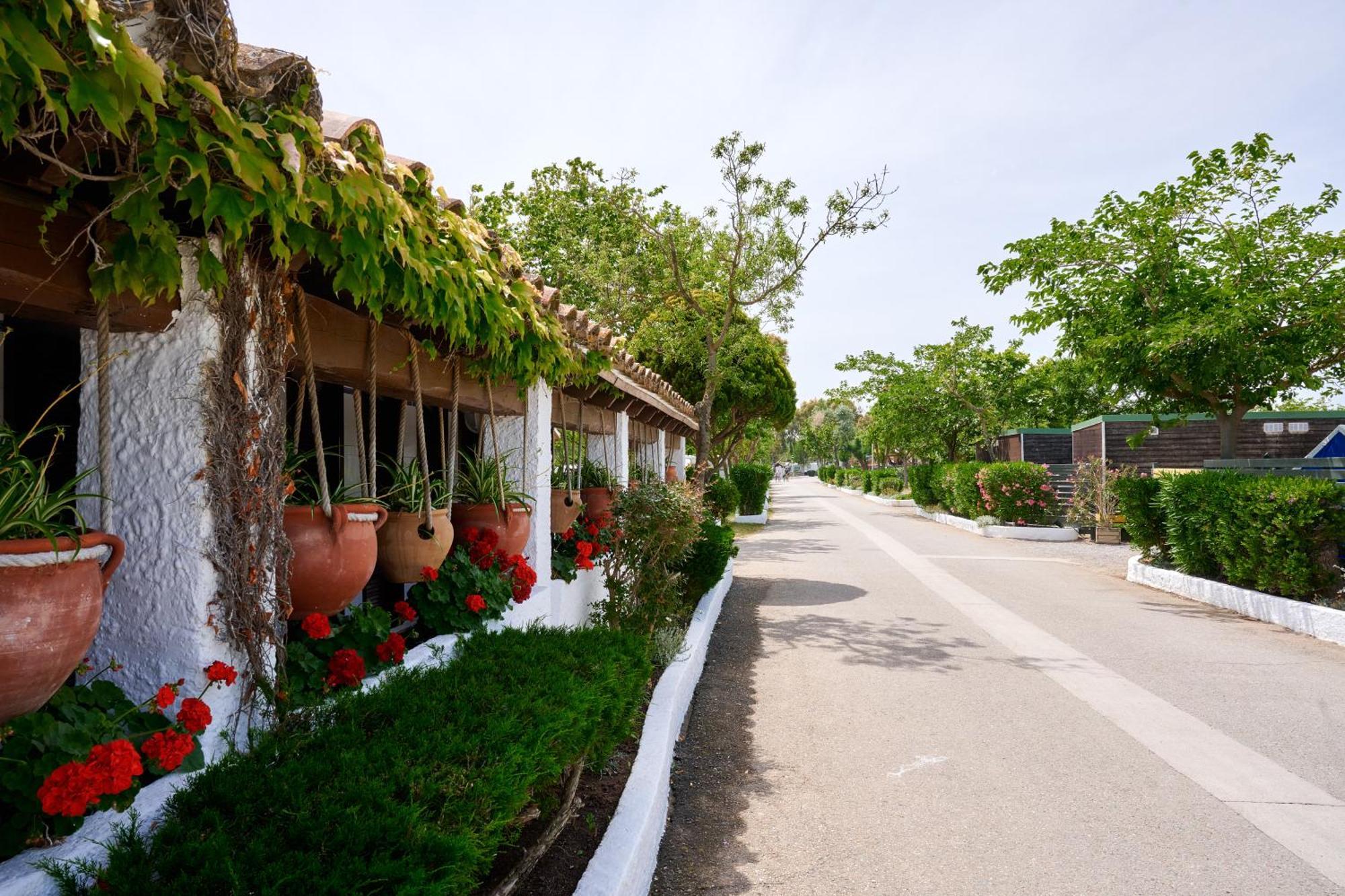 Glamping Costa Brava Fortia