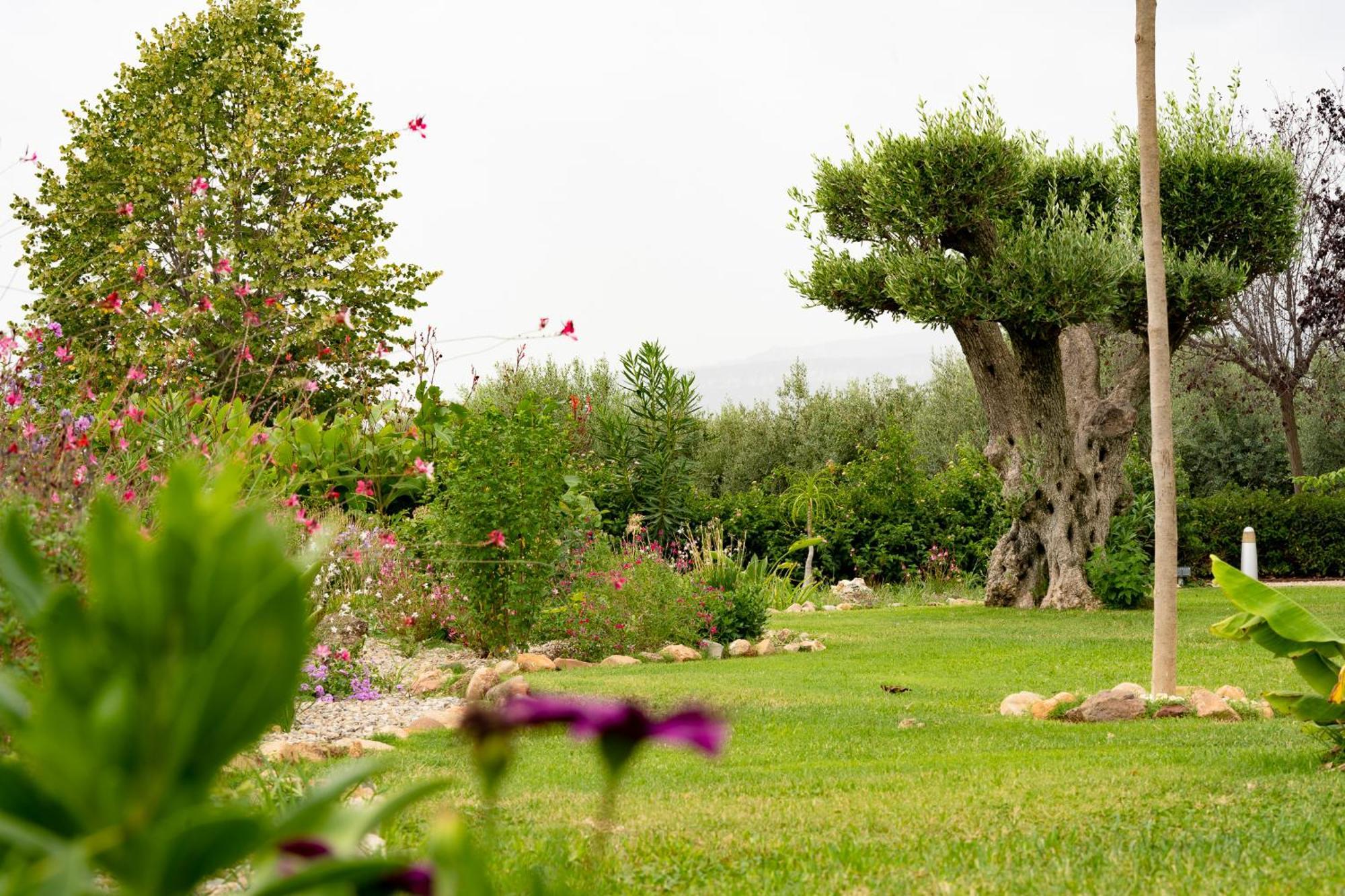 Casa rural Mas Montbrio Belvedere *