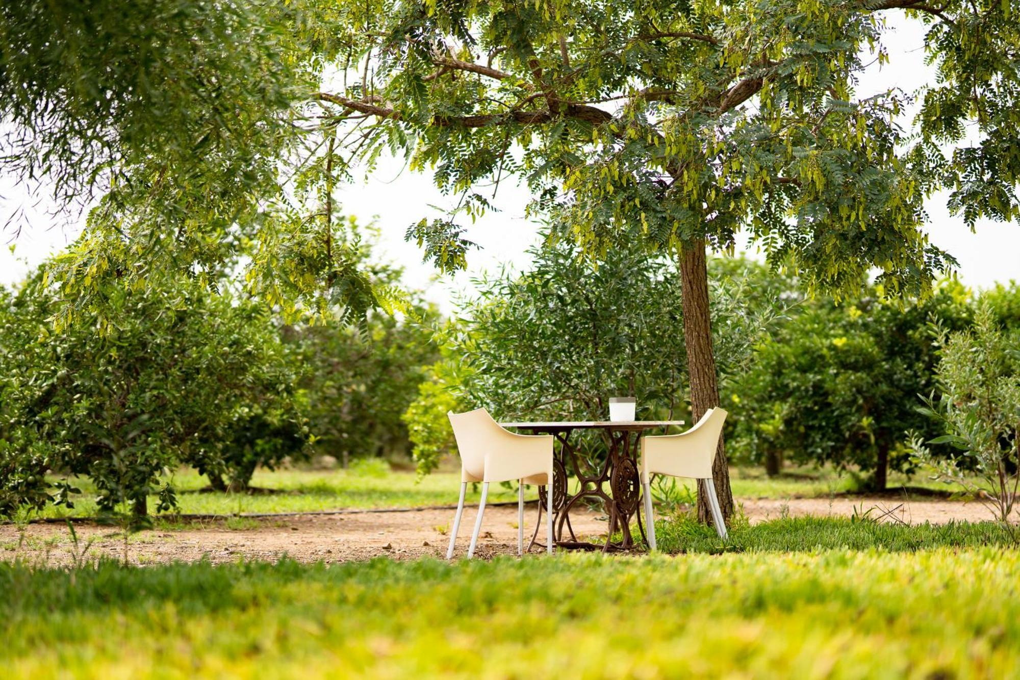 Casa rural Mas Montbrio Belvedere Cambrils