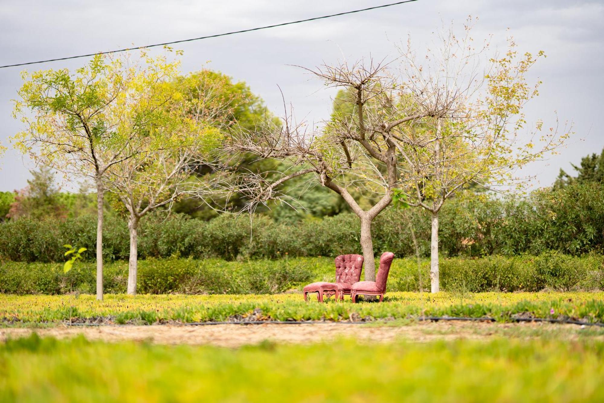 Mas Montbrio Belvedere Casa rural