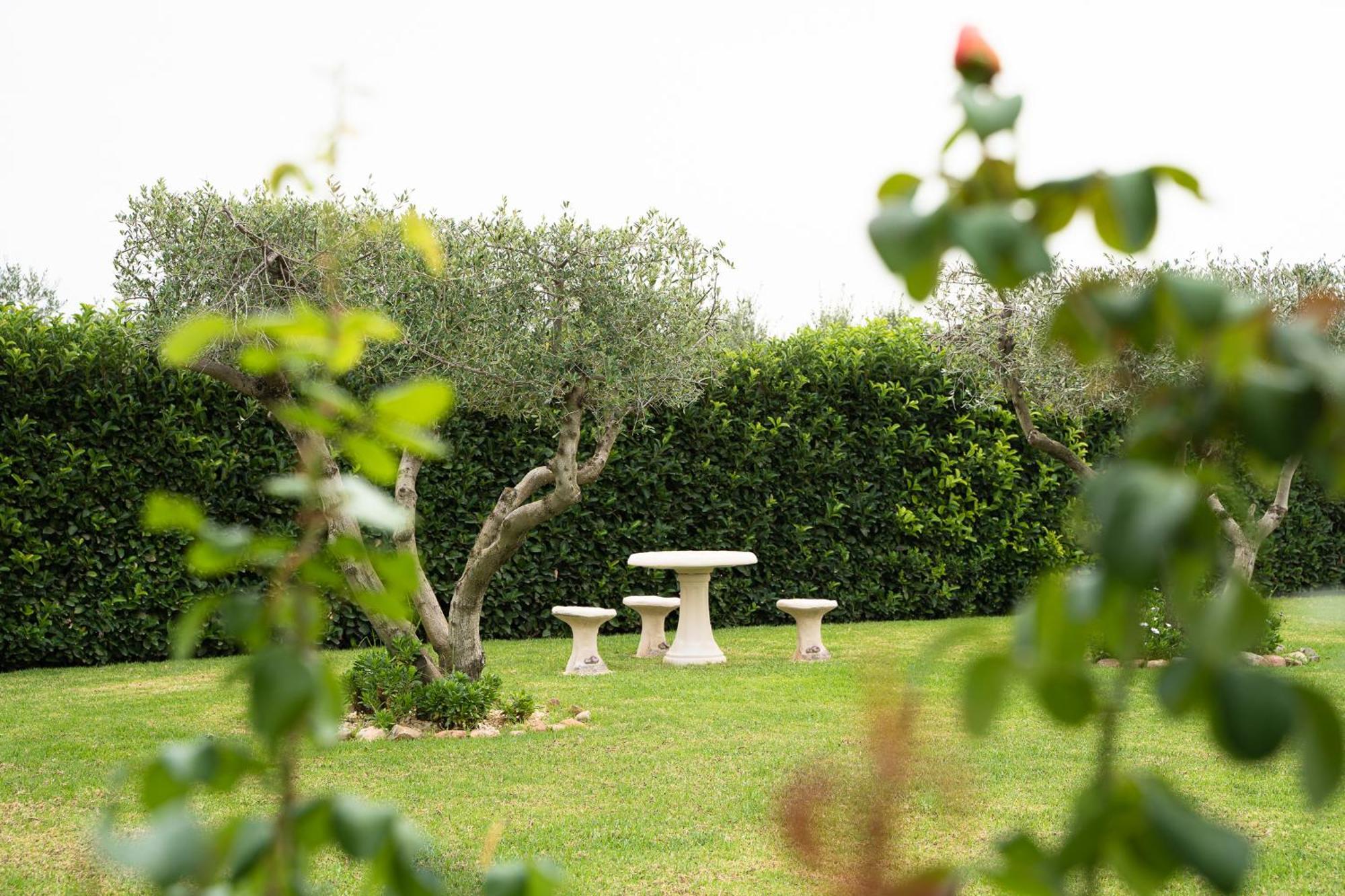 Casa rural Mas Montbrio Belvedere *