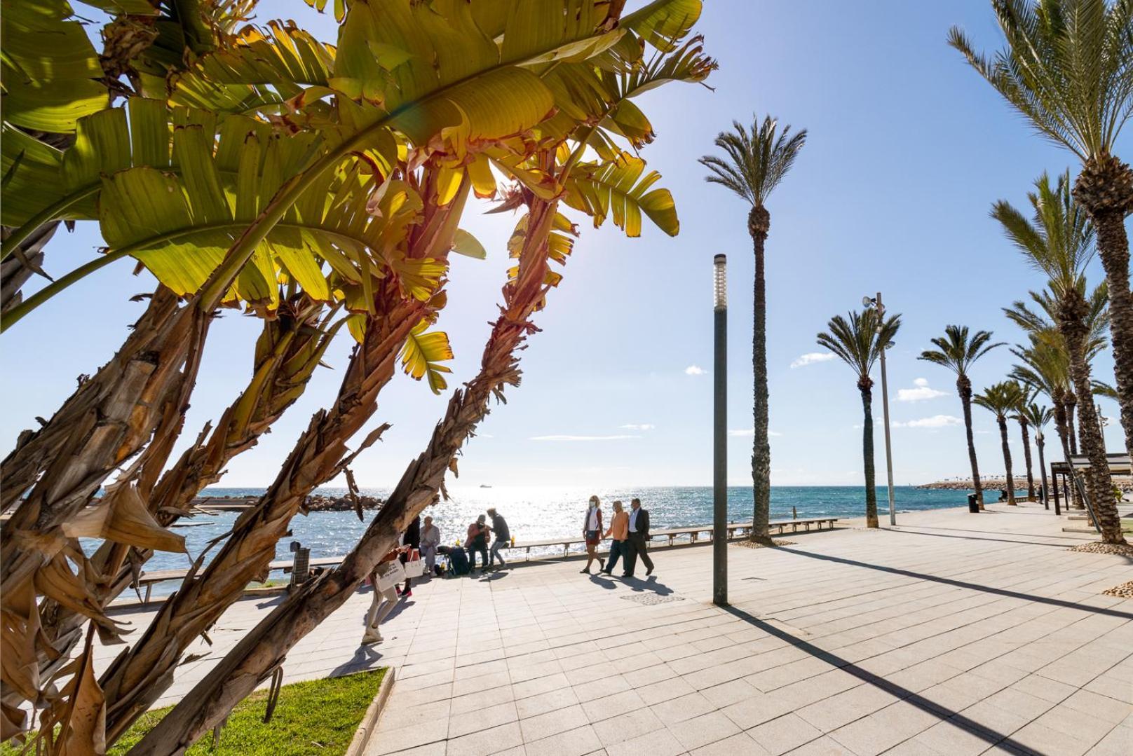 Ramon Apartment Torrevieja