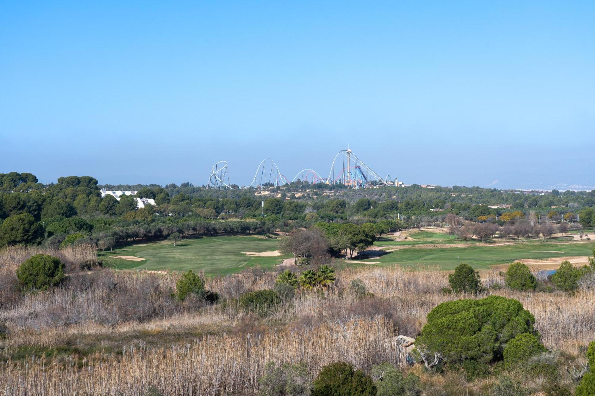 Alea - Pineda Green
